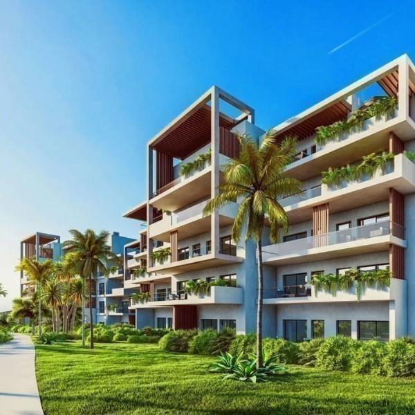 Eddy Santos | The Seed